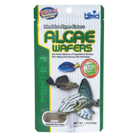 Nourriture poisson de fond Hikari Algae Wafers 40g