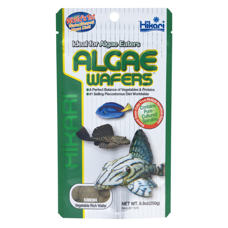 Hikari Algae Wafers 250g vente poissons herbivores