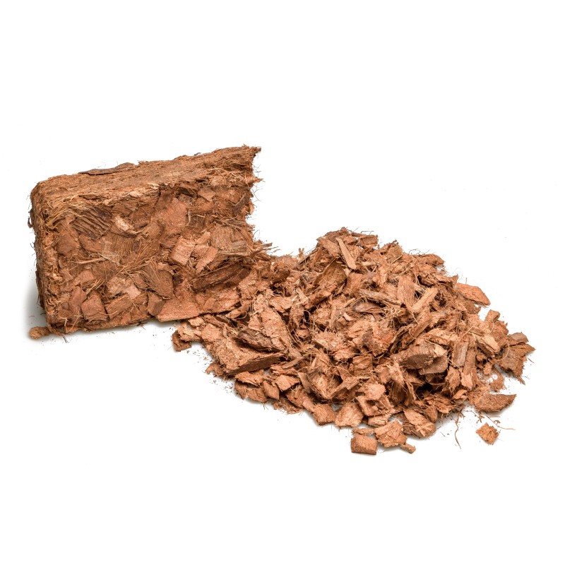 Substrat coco en morceaux terrarium tropical