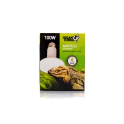 Ampoule céramique 100W reptiles tropicales pas chère