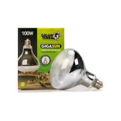 Lampe UVB 100W reptiles diurnes vente en ligne