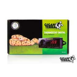 Thermostat digital pour terrarium pas cher en commande