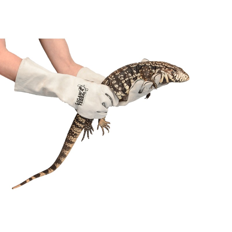 Gants de protection reptile 40 cm GiganTerra pas chers