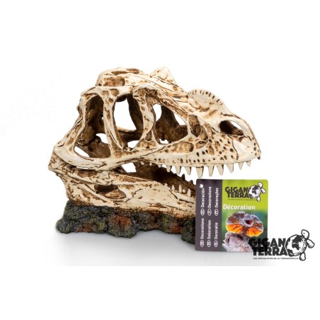 Décoration socle dinosaure reptile GiganTerra vente en ligne