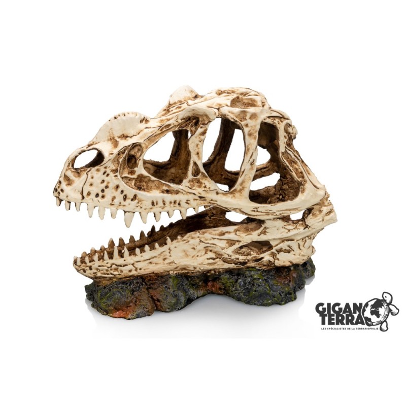 Décoration socle dinosaure reptile GiganTerra vente en ligne