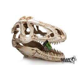 Décoration T-Rex XXL terrarium GiganTerra achat en ligne