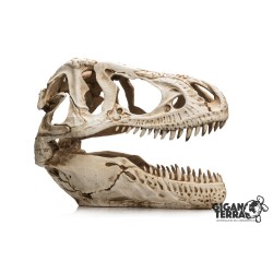 Décoration T-Rex XXL terrarium GiganTerra achat en ligne