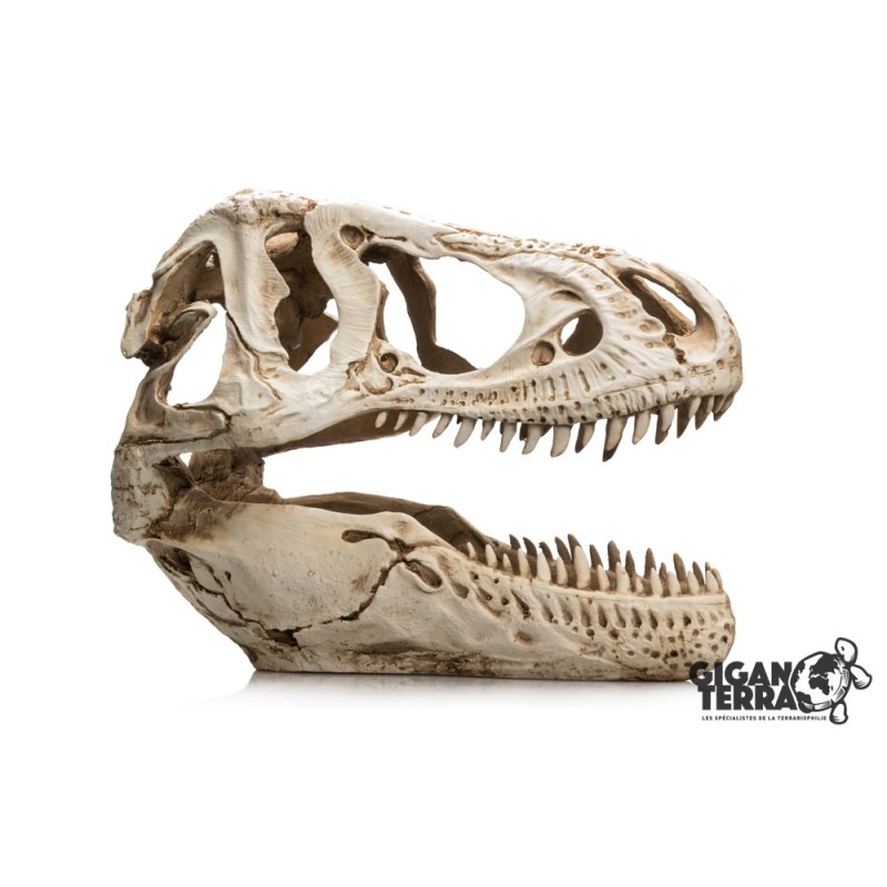 Décoration T-Rex XXL terrarium GiganTerra achat en ligne