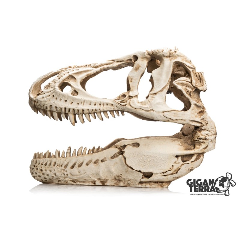 Décoration T-Rex XXL terrarium GiganTerra achat en ligne