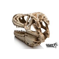 Décoration T-Rex XXL terrarium GiganTerra achat en ligne