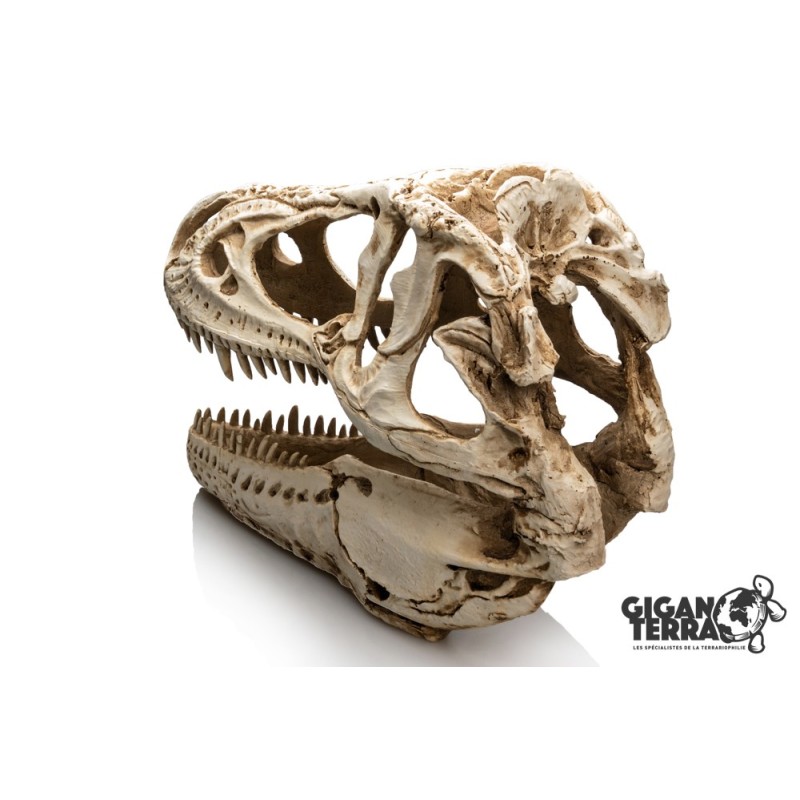 Décoration T-Rex XXL terrarium GiganTerra achat en ligne