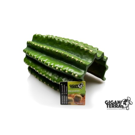Grotte cactus reptile GiganTerra décor terrarium pas chère