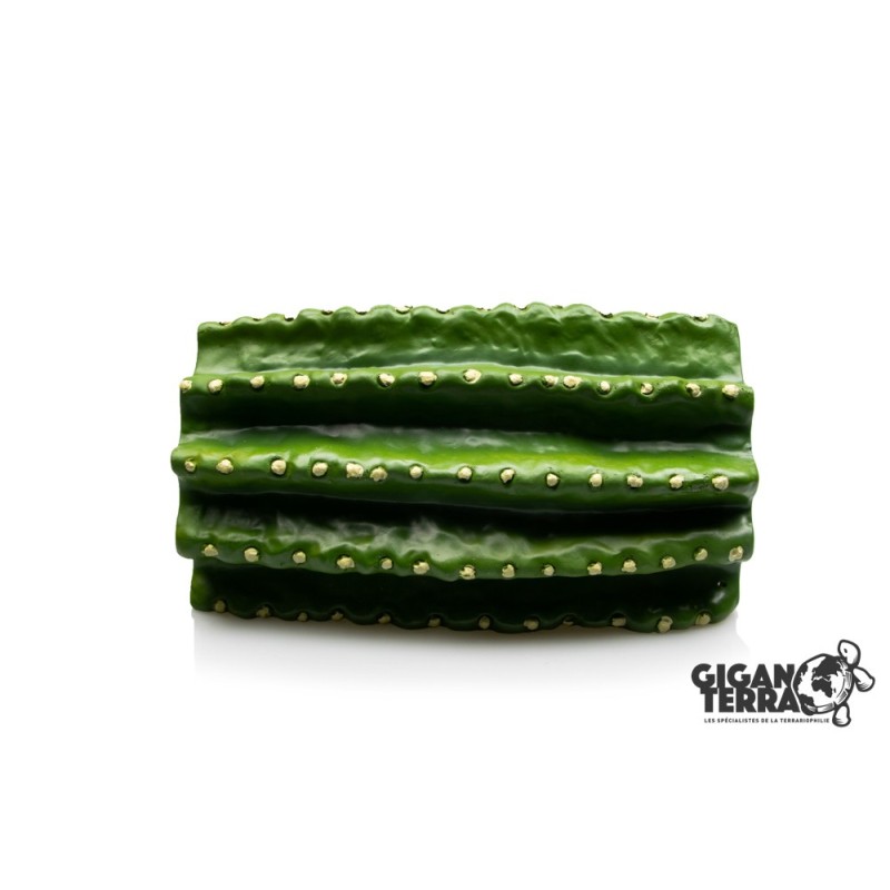 Grotte cactus reptile GiganTerra décor terrarium pas chère