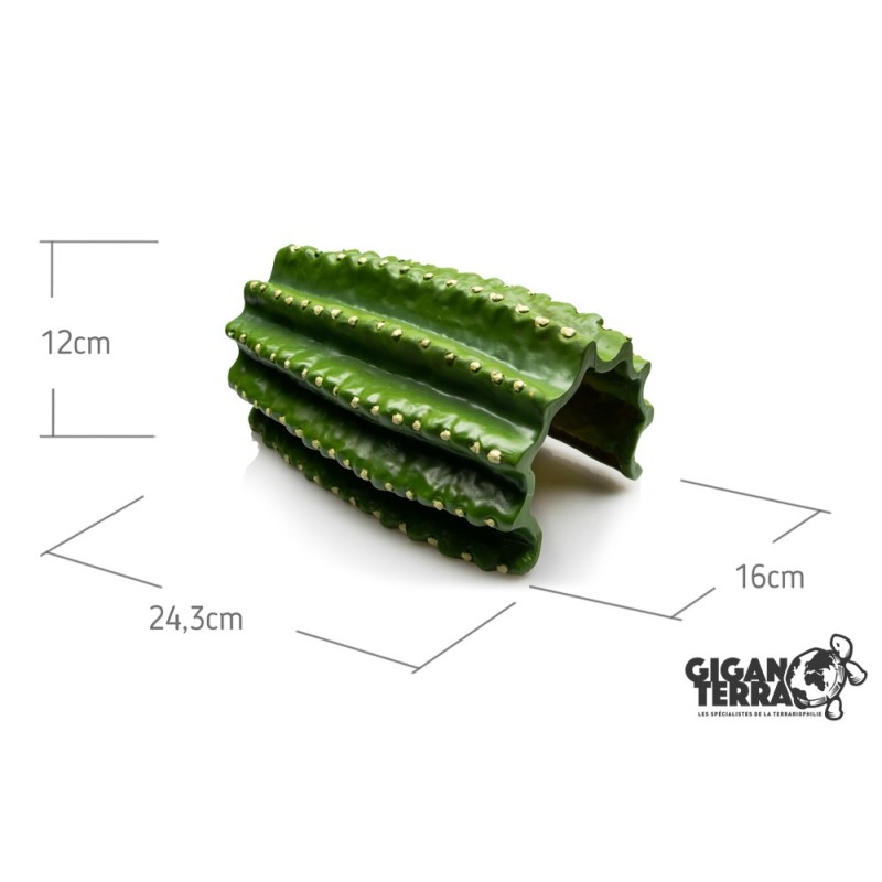 Grotte cactus reptile GiganTerra décor terrarium pas chère