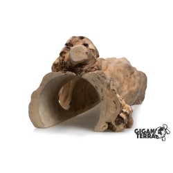 Cachette bois Java reptile GiganTerra 35 cm vente