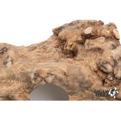Cachette Java bois reptile 30 cm GiganTerra achat