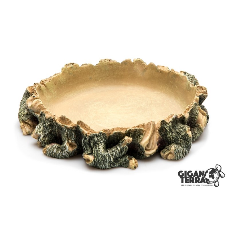 Water Dish L 22 cm GiganTerra pour reptiles en vente