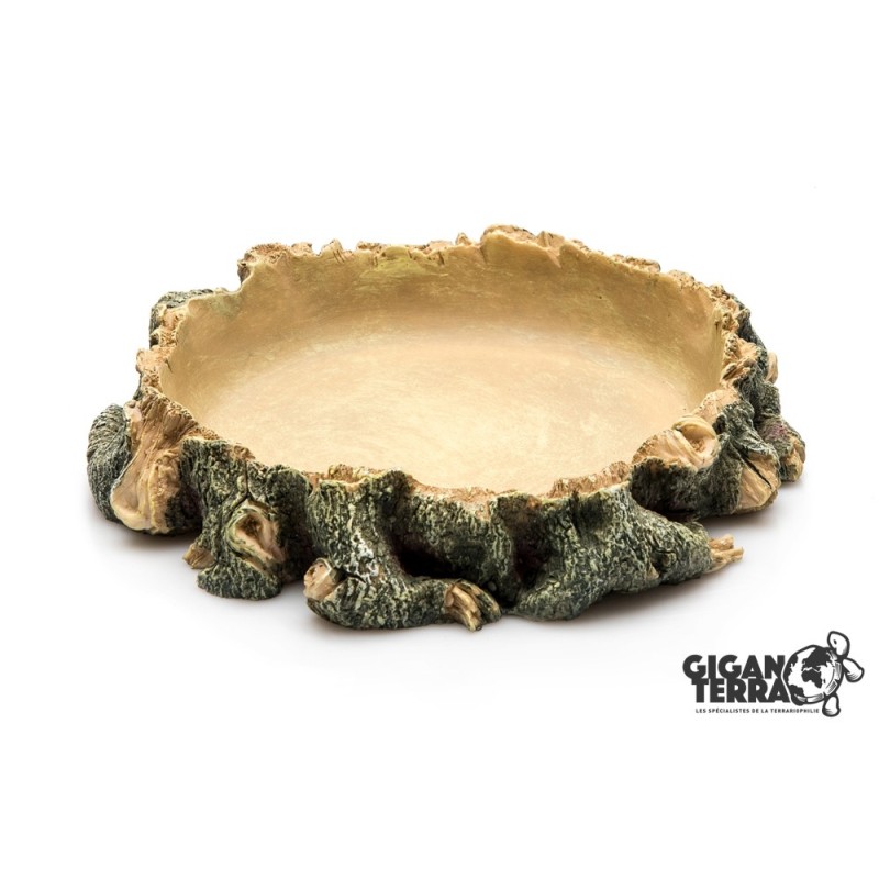 Water Dish L 22 cm GiganTerra pour reptiles en vente