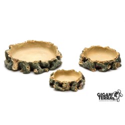 Water Dish L 22 cm GiganTerra pour reptiles en vente