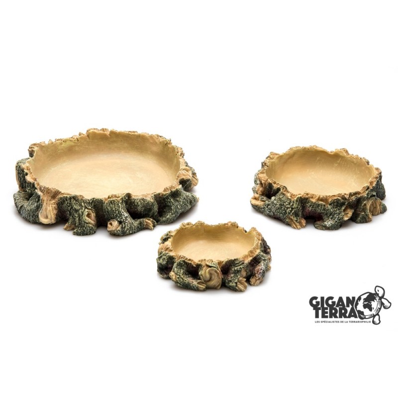 Water Dish L 22 cm GiganTerra pour reptiles en vente