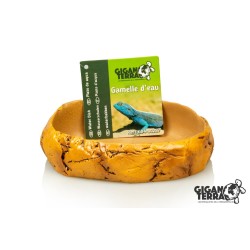 Gamelle compacte terrarium en résine naturelle pas chère