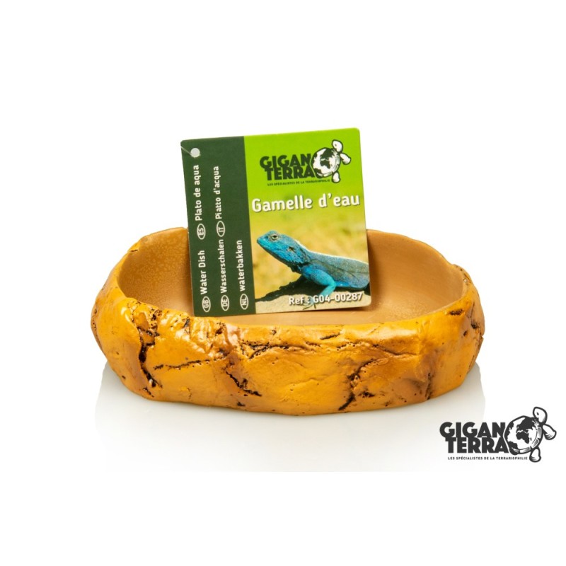 Gamelle compacte terrarium en résine naturelle pas chère