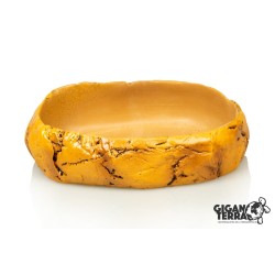 Gamelle compacte terrarium en résine naturelle pas chère