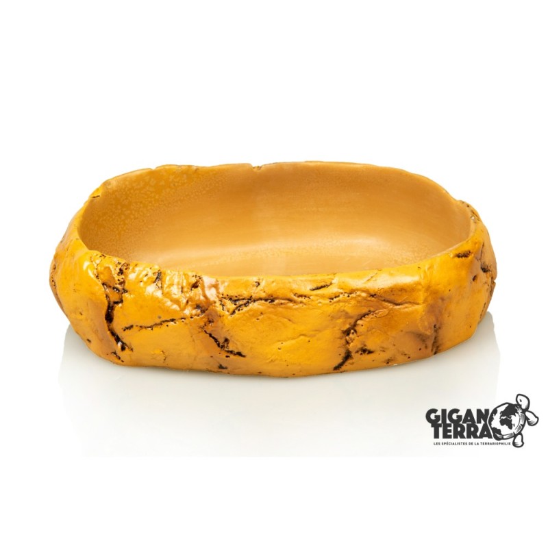 Gamelle compacte terrarium en résine naturelle pas chère