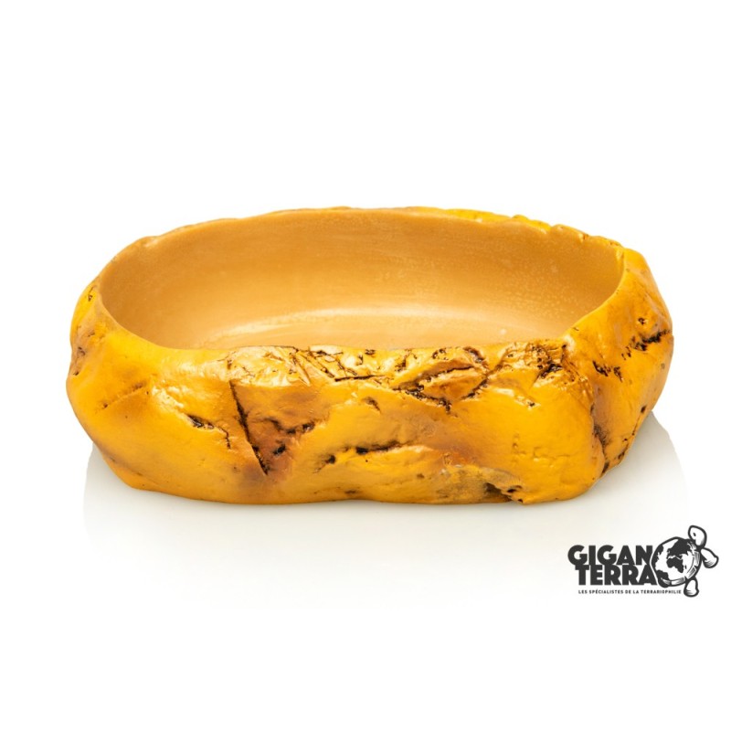 Gamelle compacte terrarium en résine naturelle pas chère