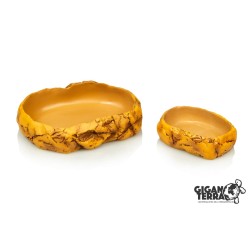 Gamelle compacte terrarium en résine naturelle pas chère