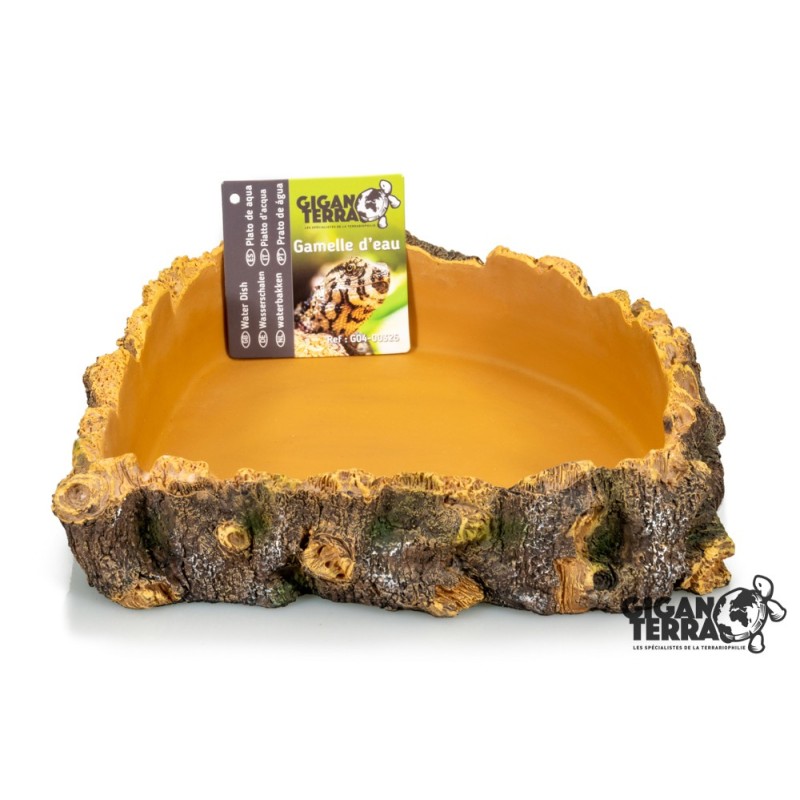 Gamelle d’eau d’angle reptile pas chère 19,5 cm GiganTerra