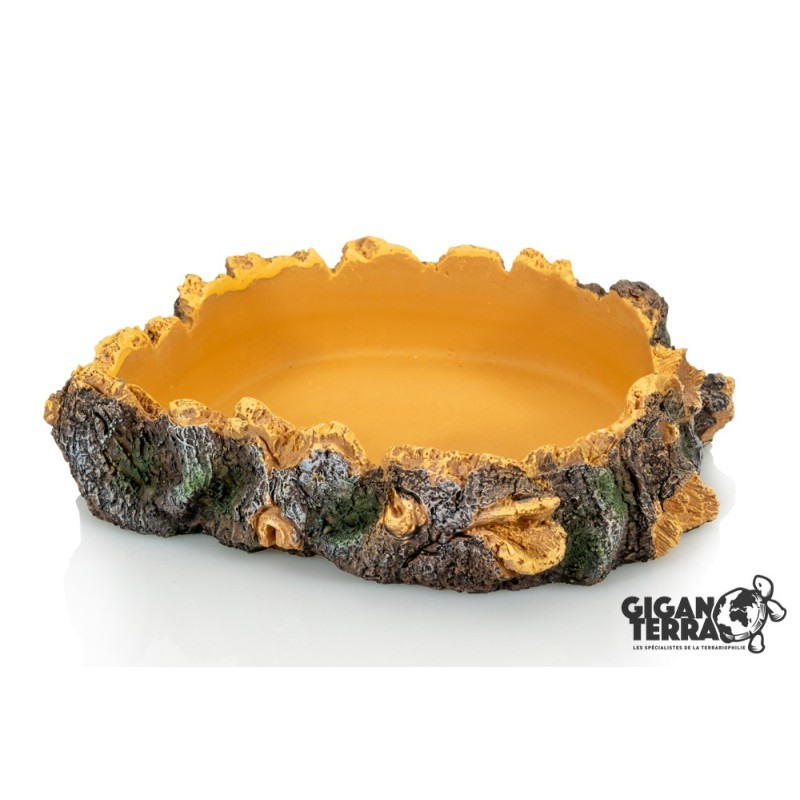 Gamelle eau d’angle compacte reptile GiganTerra 15x14x4
