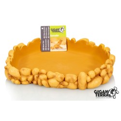 Achat en ligne gamelle terrarium Gallet Water 25 x 21