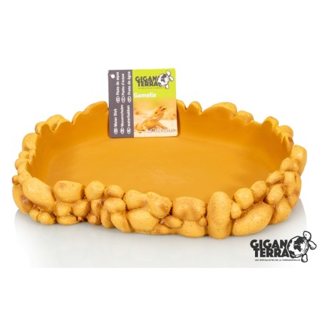 Achat en ligne gamelle terrarium Gallet Water 25 x 21