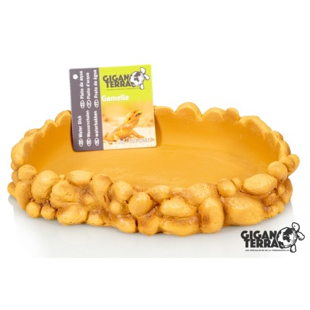 Achat gamelle terrarium Gallet Water 21 x 16 x 3,5 en ligne