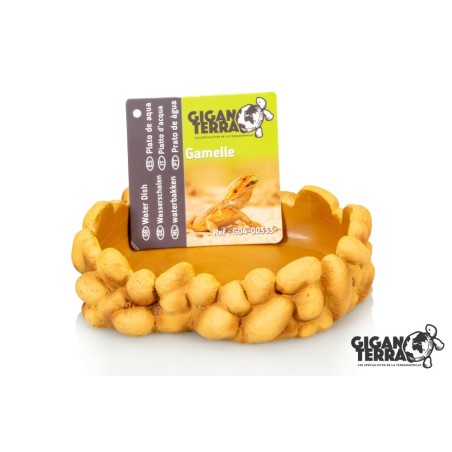 Vente en ligne gamelle terrarium Gallet Water