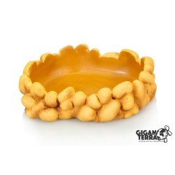 Vente en ligne gamelle terrarium Gallet Water