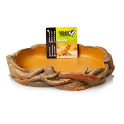 Gamelle liane terrarium achat en ligne pas cher