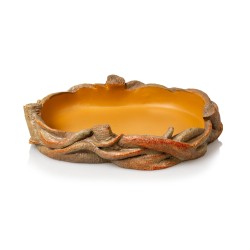 Gamelle liane terrarium achat en ligne pas cher