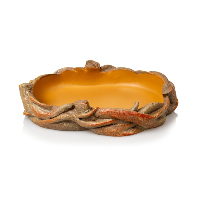 Gamelle liane terrarium achat en ligne pas cher