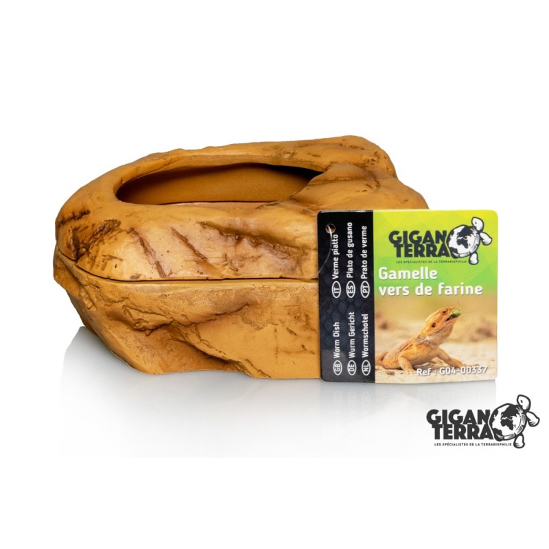 Gamelle vers de farine reptile 14x10 GiganTerra vente
