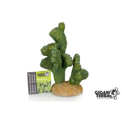 Décoration cactus terrarium aquarium 18 cm achat en ligne