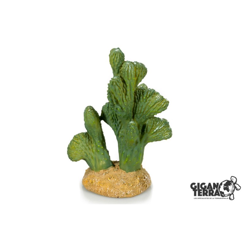 Décoration cactus terrarium aquarium 18 cm achat en ligne