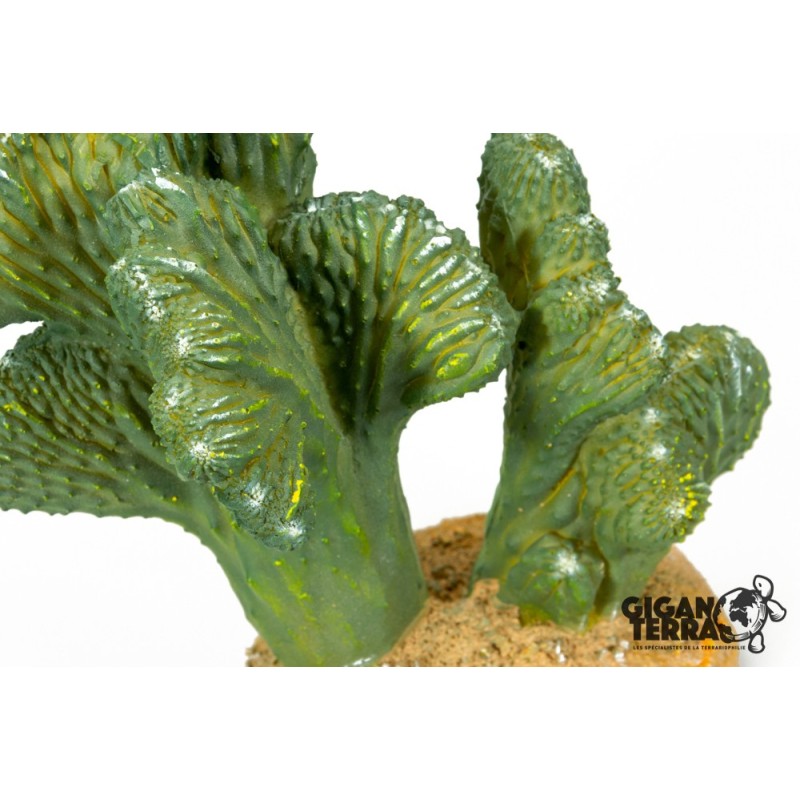 Décoration cactus terrarium aquarium 18 cm achat en ligne