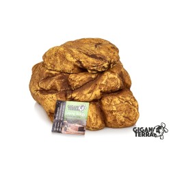 Vente pondoir reptile petit format GiganTerra Sahara