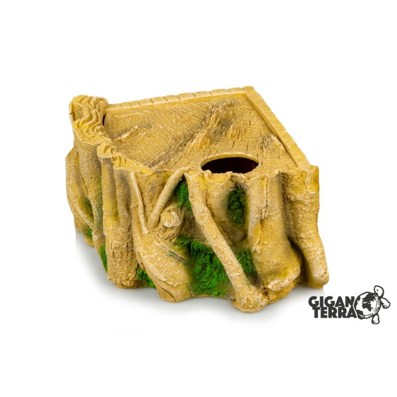 Pondoir reptile GiganTerra 23 cm commande en ligne