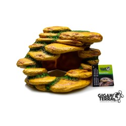 Plateforme désert aquarium terrarium 20 cm vente en ligne