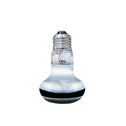 Achat ampoule chauffante pas chère terrarium desertique