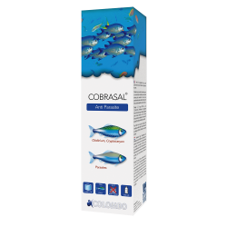 Flacon Marine Cobrasal Colombo 500 ml traitement au cuivre pour poissons marins