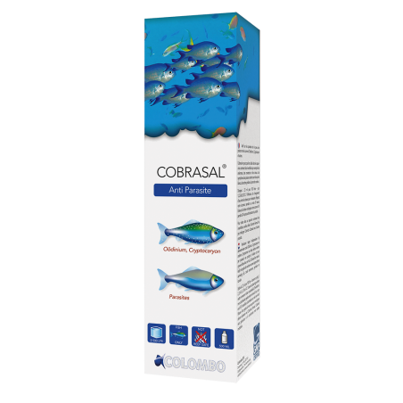 Flacon Marine Cobrasal Colombo 500 ml traitement au cuivre pour poissons marins